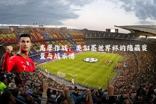 高原作战:美加墨世界杯的隐藏变量与战术博弈