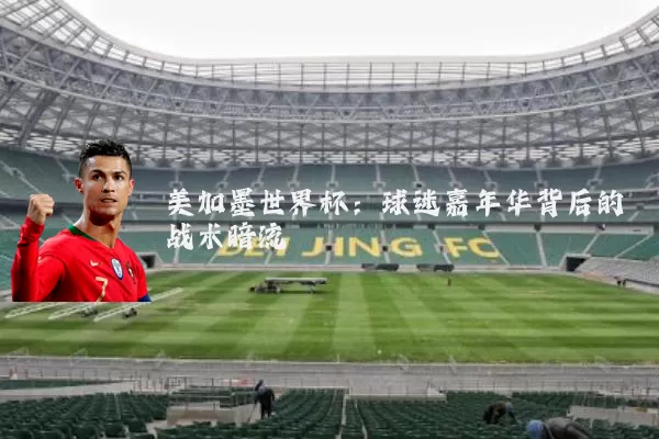 美加墨世界杯:球迷嘉年华背后的战术暗流